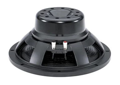 B&C 12NW100-8 12 Neo Woofer 8 Ohm