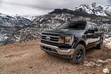 Husky Liners 2830127 Low Profile Hood Protector Textured Black for Ford F150 Raptor