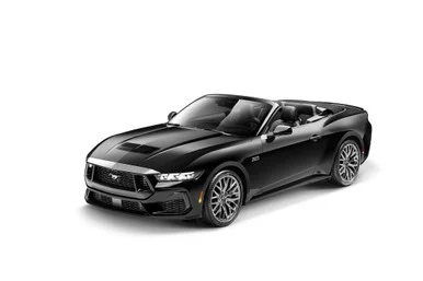 Husky Liners 2892212 Aeroskin Hood Protector Chrome for Ford Mustang