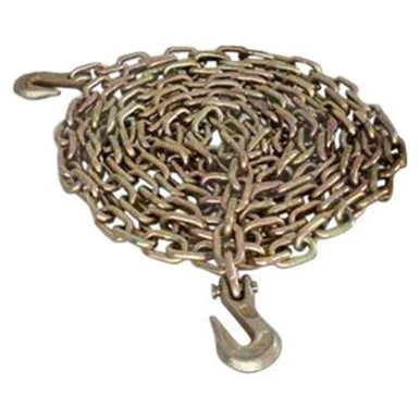 Pacific Cargo Control 31G7020B1 5/16'x20' Chain Assembly W/ Gh
