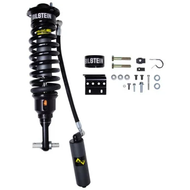 Bilstein 41326725 Shocks for Ford F150