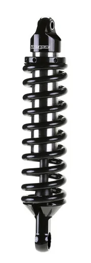 Fabtech 2.5DLSS C/O N/R 15 F150 6" BX3 PAIR PACKAGED FTS221842 - fabtech motorsports