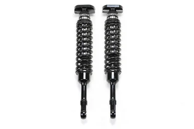 Fabtech 2.5DLSS C/O N/R F150 2" PAIR PACKAGED FTS22200 - fabtech motorsports