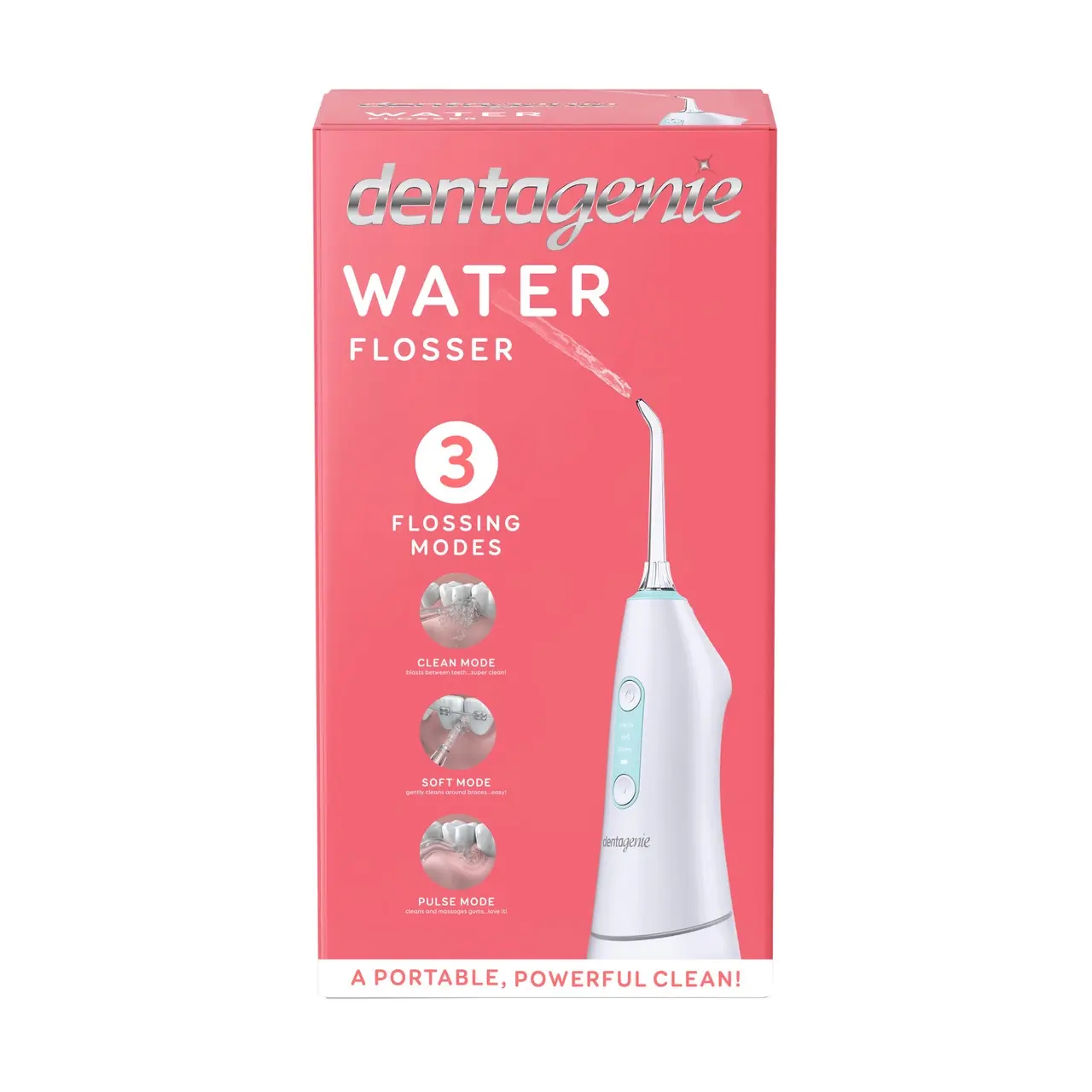 GO2 Dentagenie Water Flosser - Health