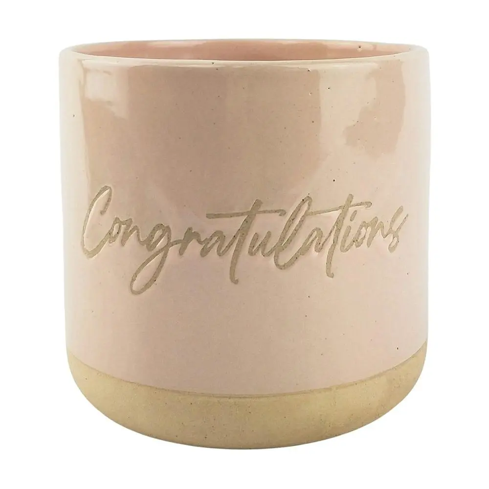 Urban Congratulations 13cm Ceramic Planter Outdoor Garden Plant Pot Pink/Sand - Home & Garden