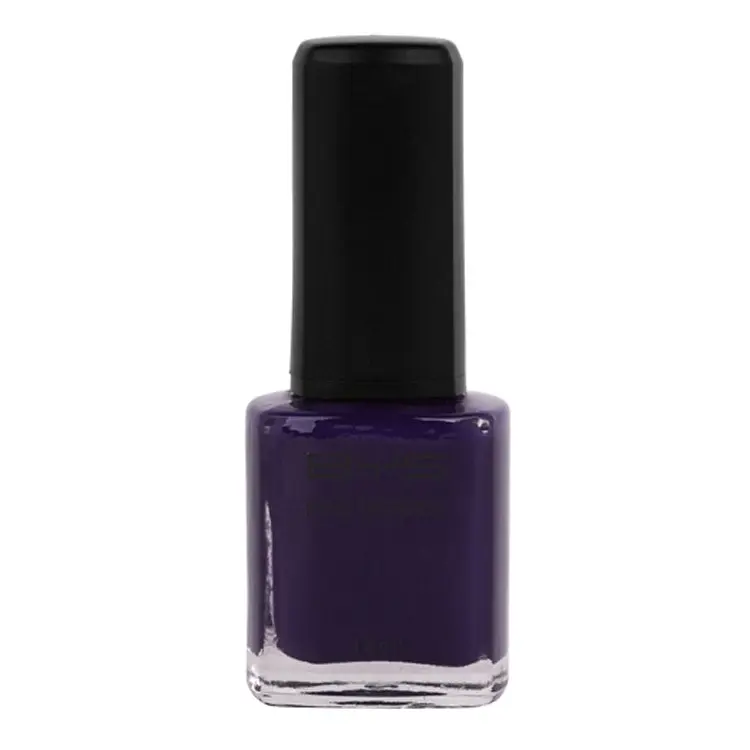 BYS Reign Supreme Nail Polish Enamel Lacquer Gloss Lasting Quick Dry 14ml Purple - Beauty