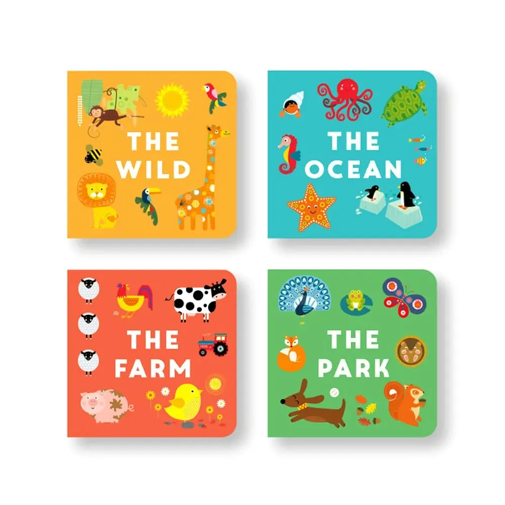 Really Decent Books Little Boxes Animals Kids/Children/Toddler Fun Learning 1y+ - Entertainment