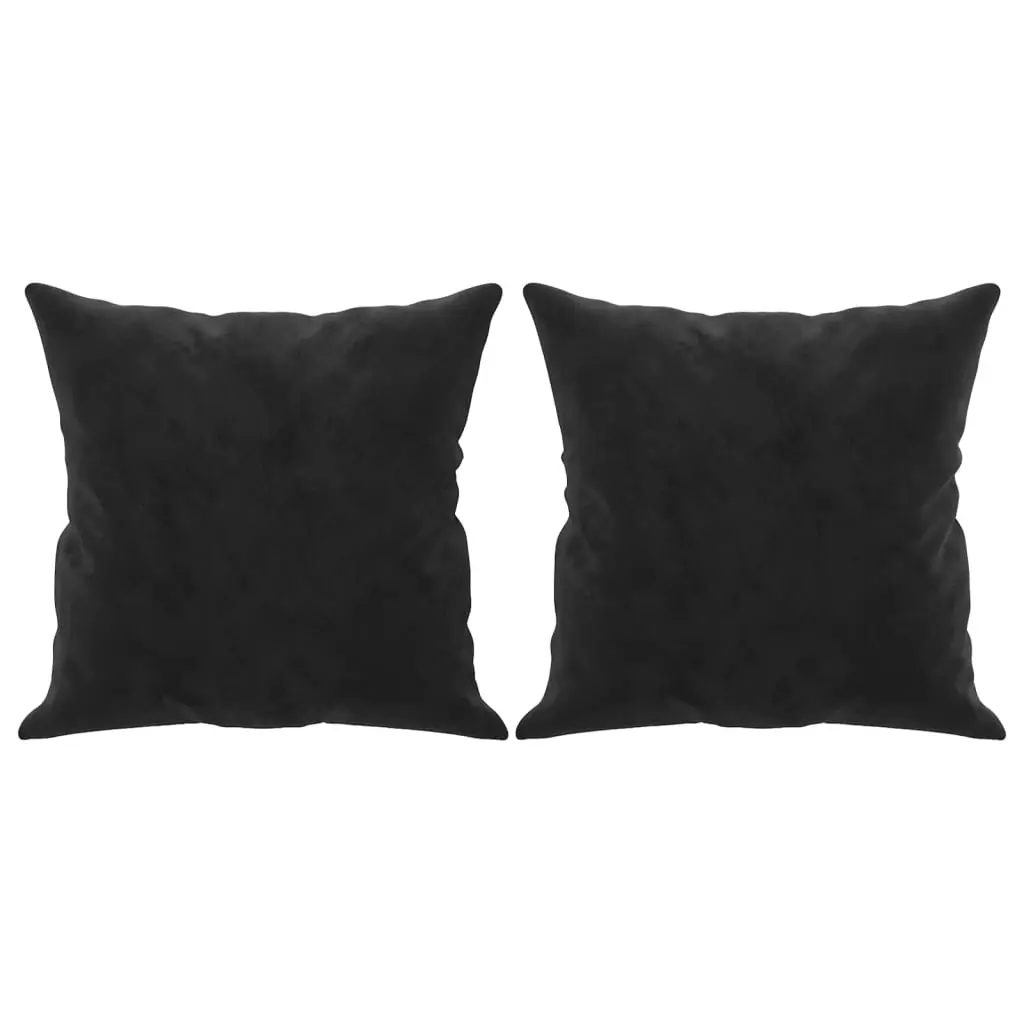 Throw Pillows 2 pcs Black 40x40 cm Velvet 349490 - Home & Garden