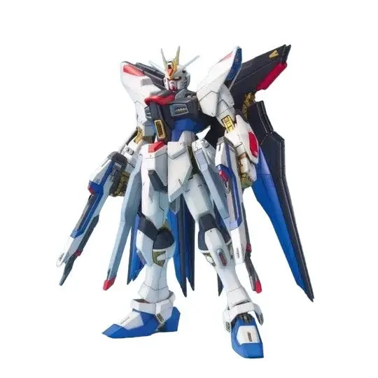 MG 1/100 Strike Freedom Gundam - Hobbies