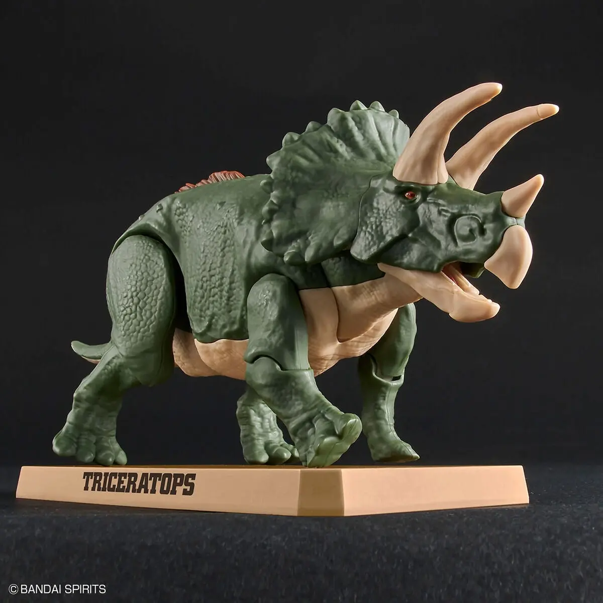 PLANNOSAURUS Triceratops - Hobbies
