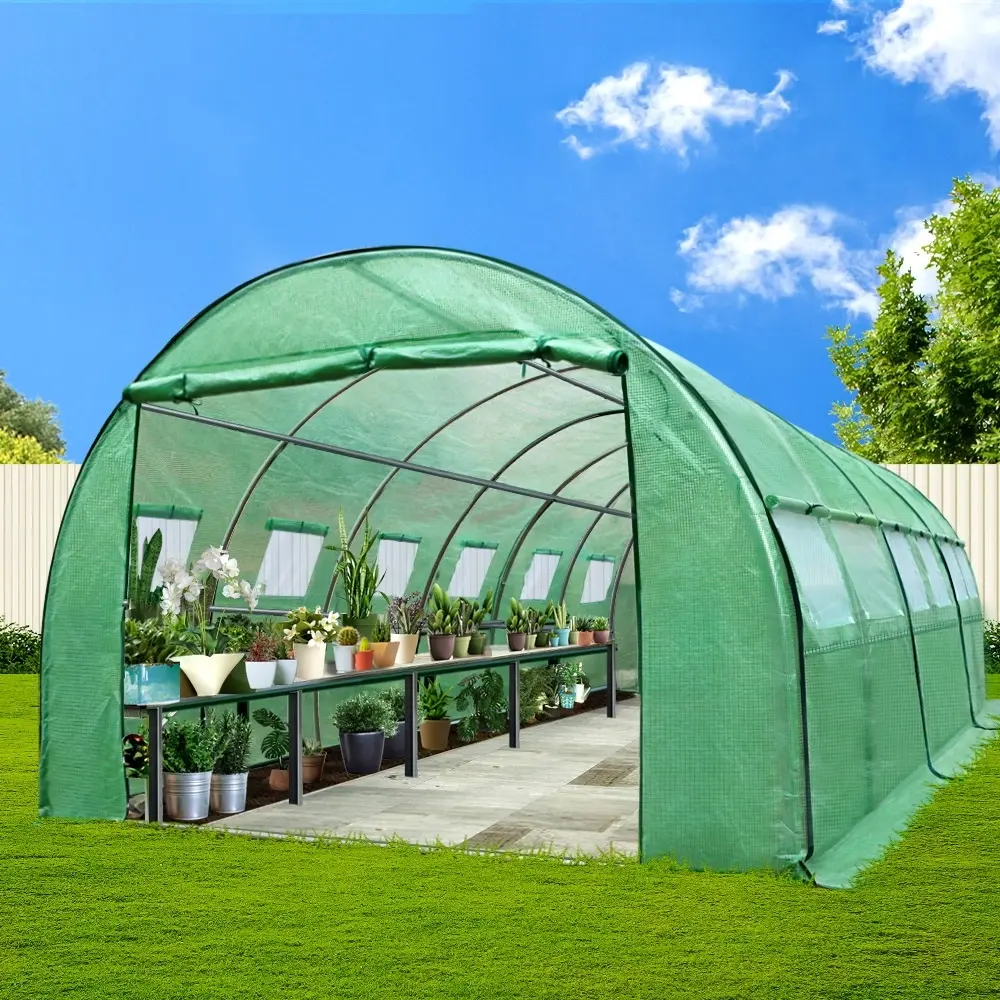 Green Fingers Greenhouse 6x3x2M Walk in Green House Tunnel Plant Garden Shed Dome - Best Sellers From $10