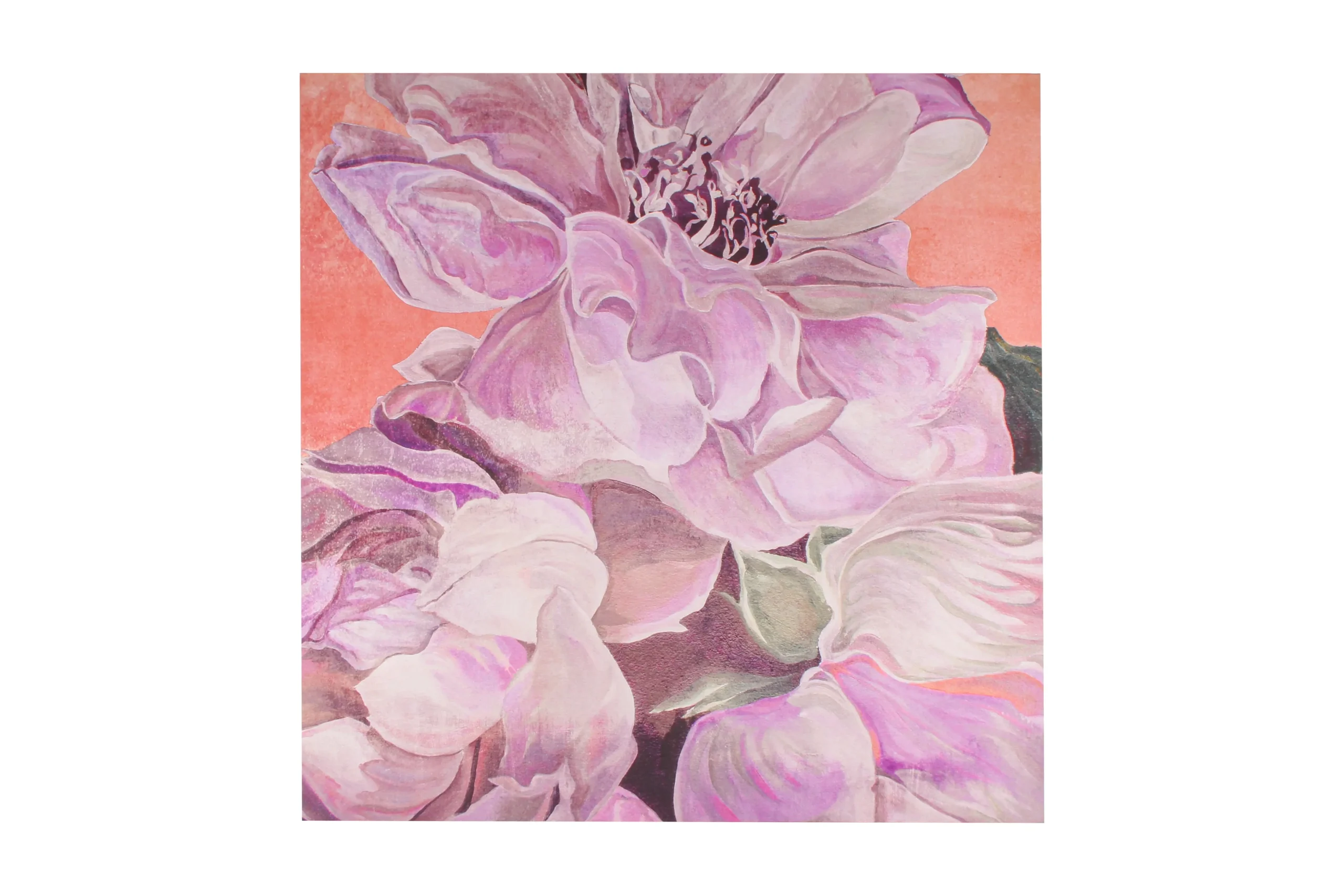Violet Peony Print Canvas 100 x 100cm - Home & Garden