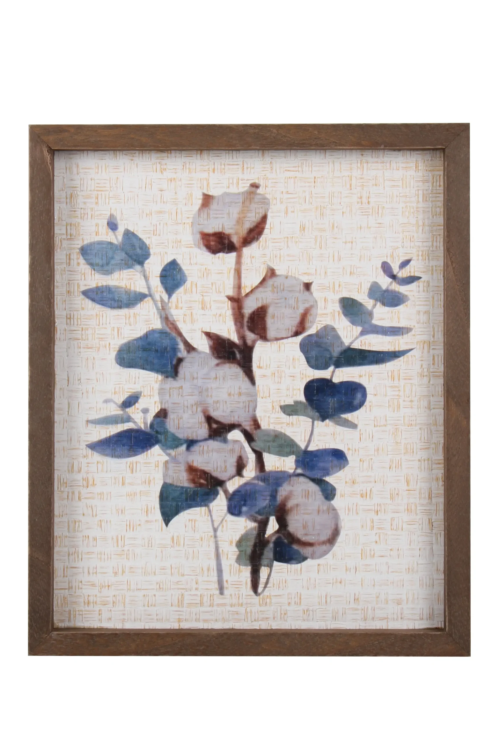Delilah Collection Cotton Eucalyptus Frame 30 x 25 x 3cm - Home & Garden