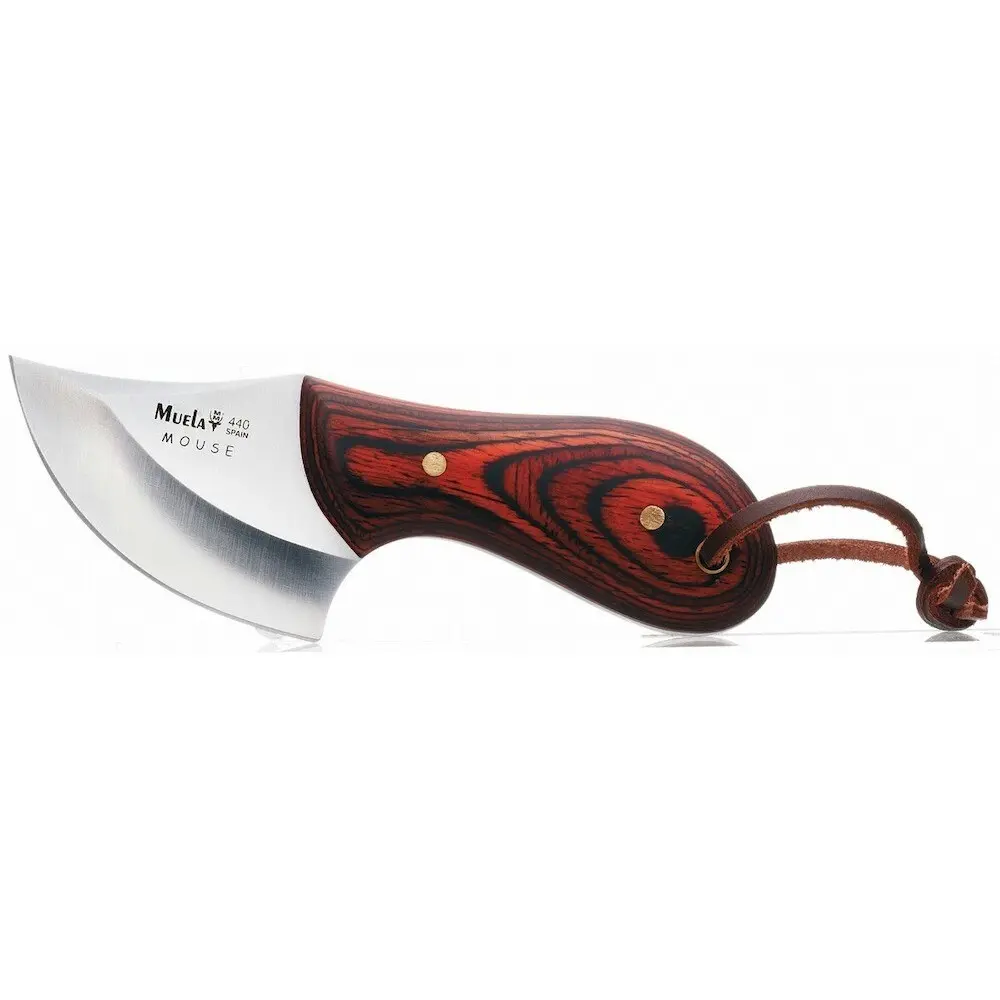 Muela Mouse 6R Skinner Hunting Knife - Coral Wood Handle | YMMOU6R
