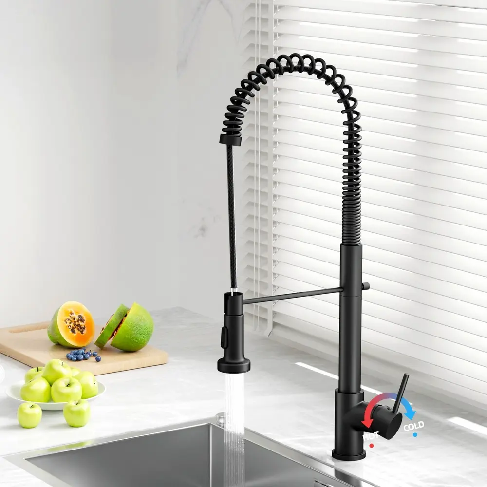 Cefito Kitchen Mixer Tap Pull Down 2 Modes Sink Faucet Basin Laundry Black - Hardware