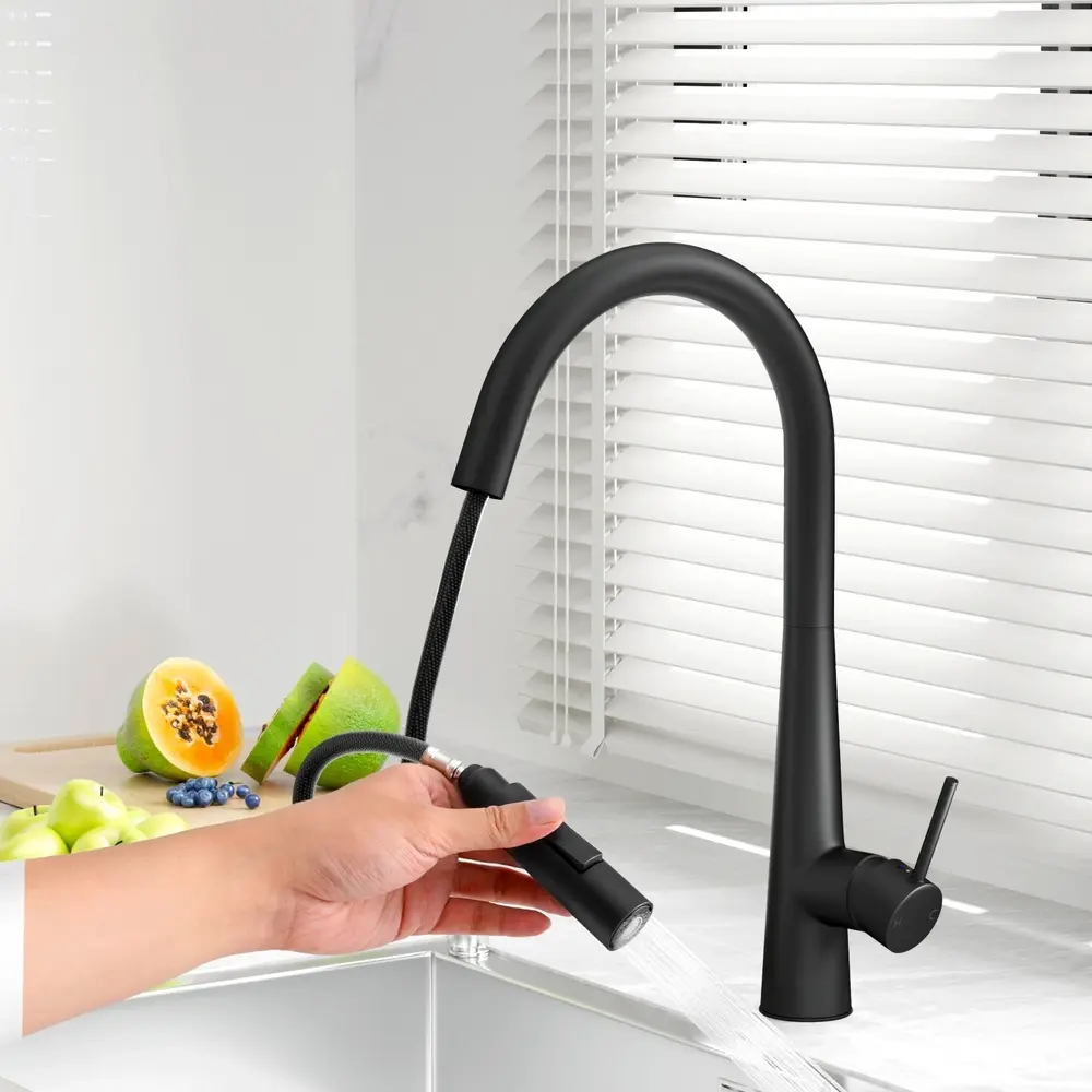 Cefito Kitchen Mixer Tap Pull Out Round 2 Mode Sink Basin Faucet Swivel WELS Black - Hardware