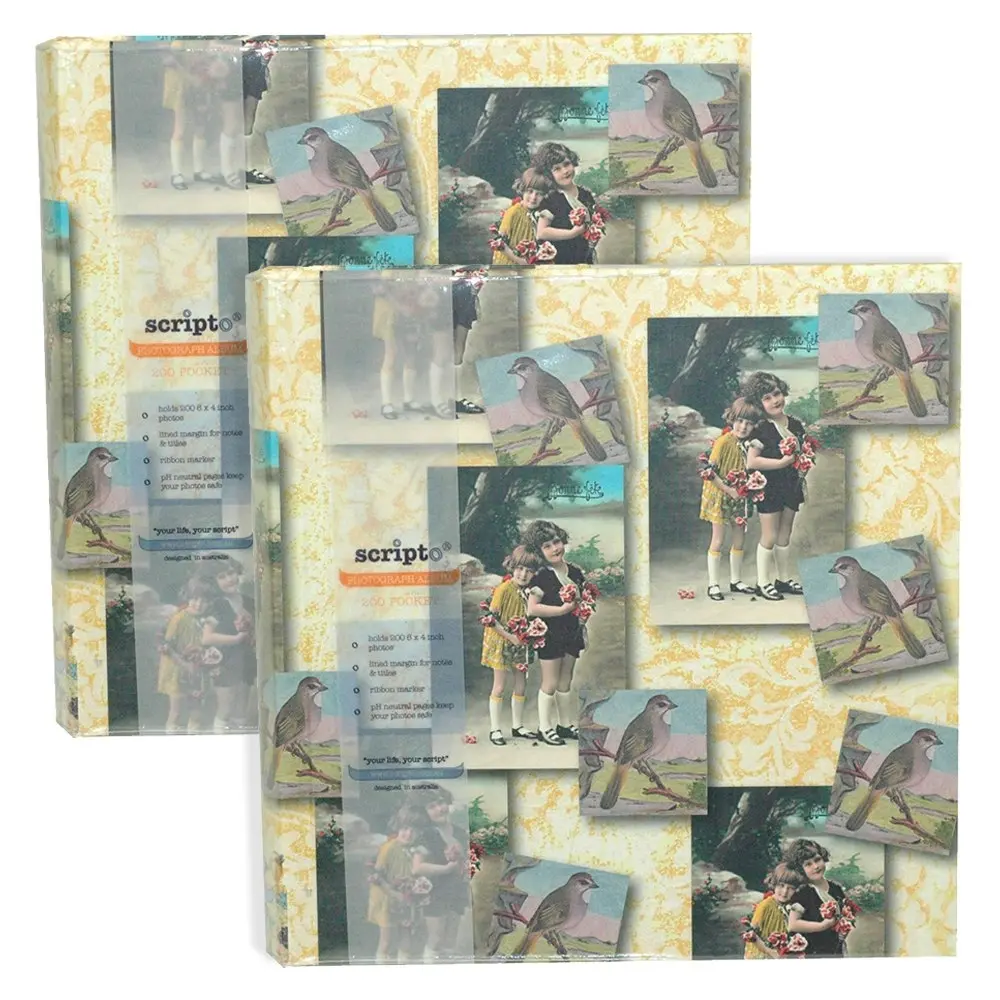 2x Scripto 200 Pocket Kids/Family Photo Album Hard Cover Book Sisters Themed - Photography
