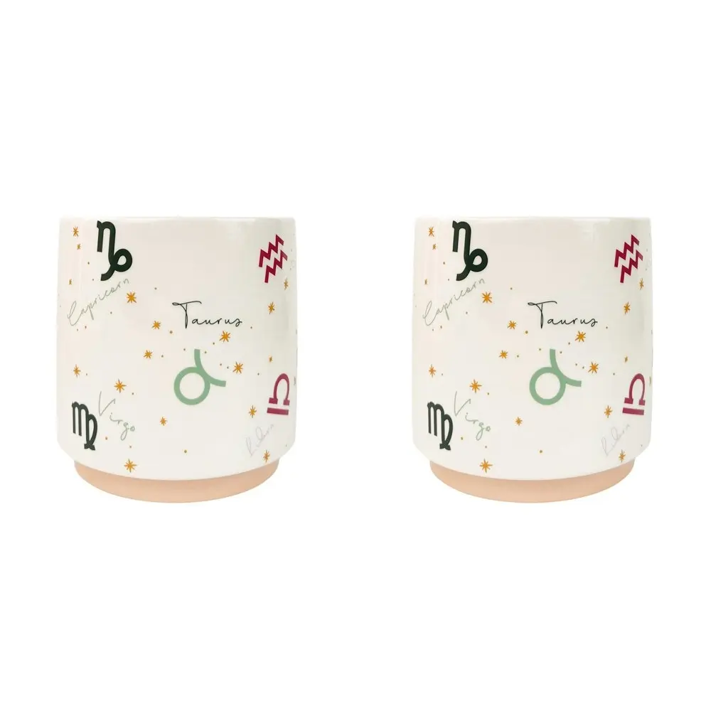 2x Urban Zodiac 13cm Ceramic Planter Colourful Flower/Plant Pot Desk Decor Small - Home & Garden