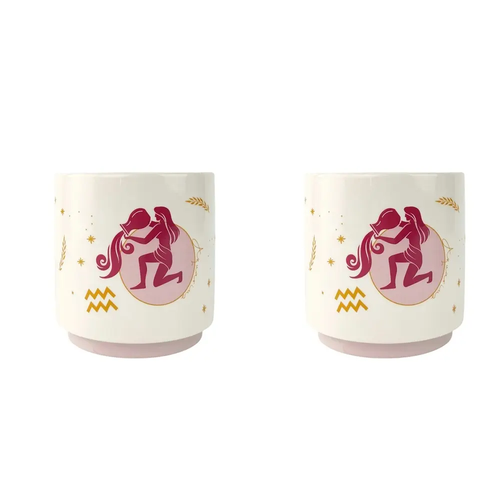 2x Urban Aquarius Zodiac 13cm Ceramic Planter Flower/Plant Pot Decor Sml Purple - Home & Garden