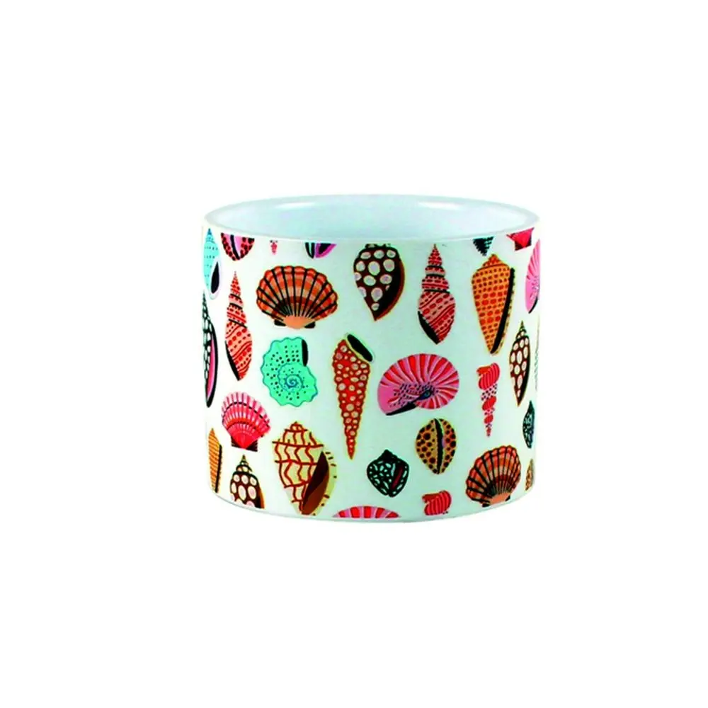 Maine & Crawford Ocean Life 11x9cm Ceramic Plant/Flower Pot Home/Garden Decor - Home & Garden