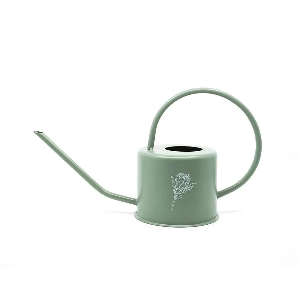 Rayell Homewares Metal Decorative Watering Can Bloom Olive 36x18cm Home Decor - Home & Garden