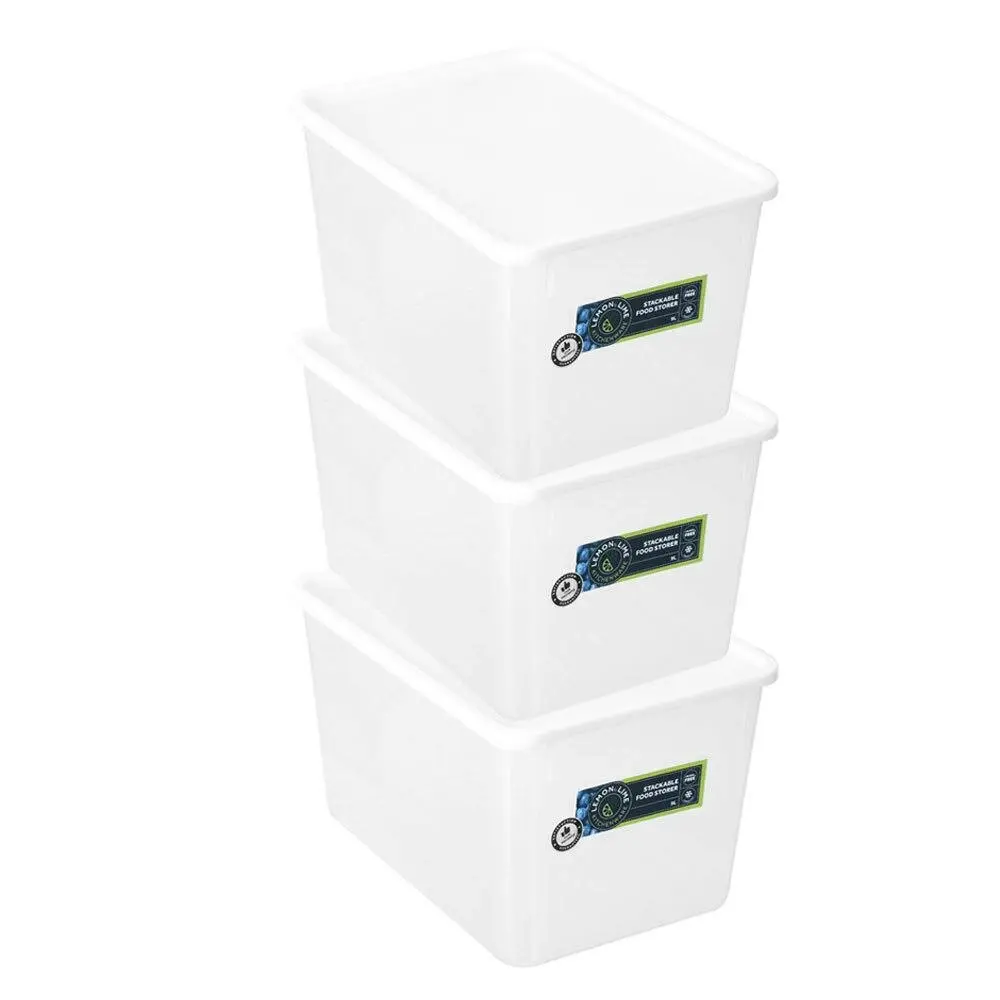 3x Lemon & Lime Keep Fresh 9L/30.5cm Food Storer Rectangle Snack Container Clear - Home & Garden