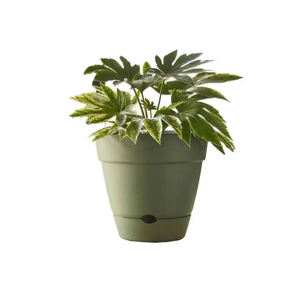 Northcote Pottery Leonard 38x34cm Self Watering Plant Pot Garden Decor Green - Home & Garden
